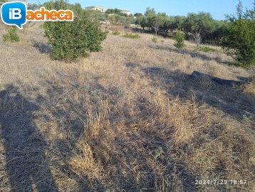 Immagine 1 - Terreno agricolo contrada