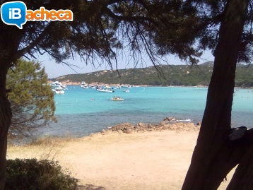 Immagine 1 - Cannigione Costa Smeralda